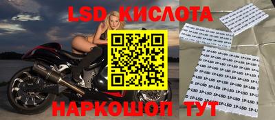 apvp Кимры