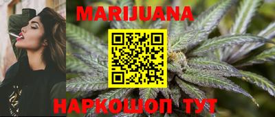 прущие крисы Камышлов