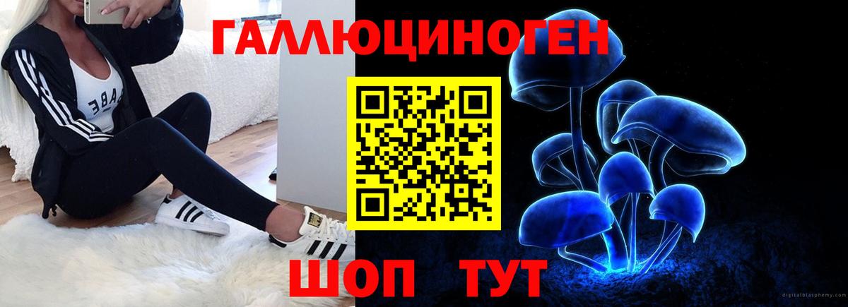 Ярославль  Псилоцибиновые грибы GOLDEN TEACHER  Вход с VPN 